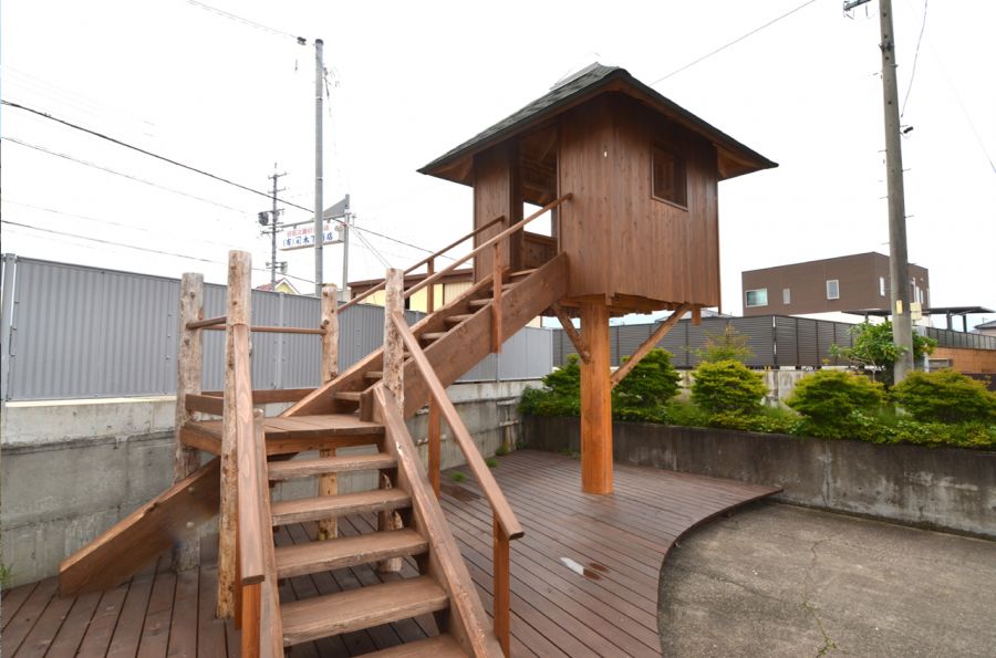 sea side tree house